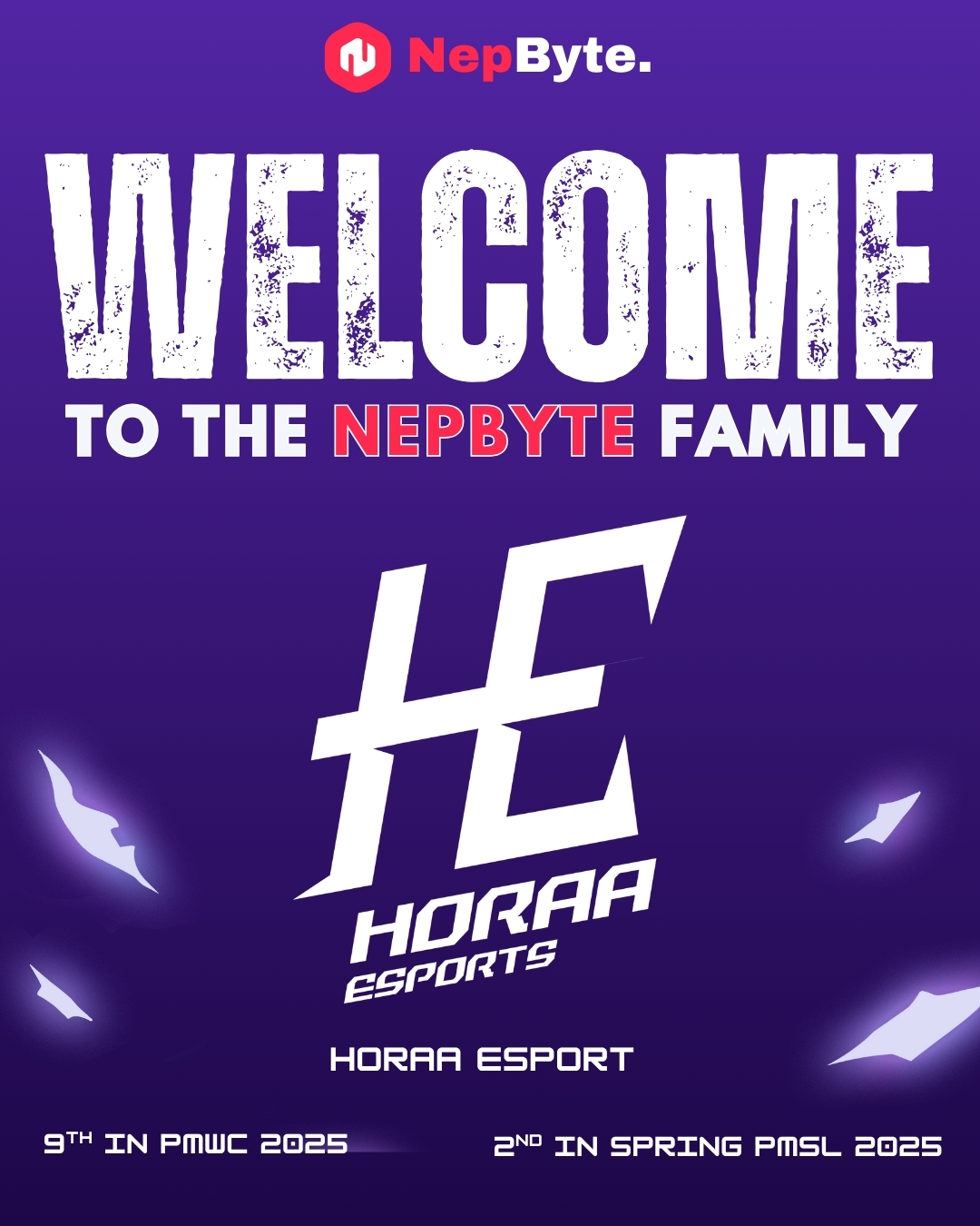 Horaa Esports (Graphic Design)